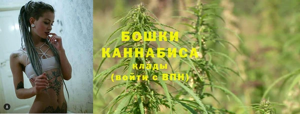 гидра Богородск