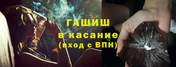 гидра Богородск
