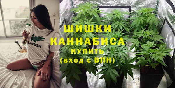 гидра Богородск