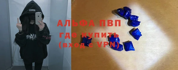 гидра Богородск