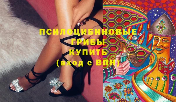 амф Богородицк