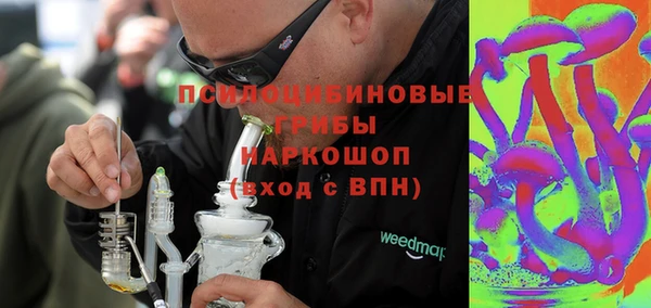 амф Богородицк