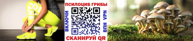 Галлюциногенные грибы Cubensis  Дорогобуж 